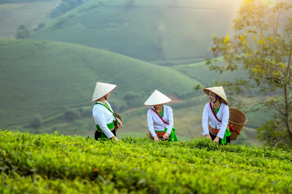 Global Food Production Hits Record Lows Amid Rising Demand