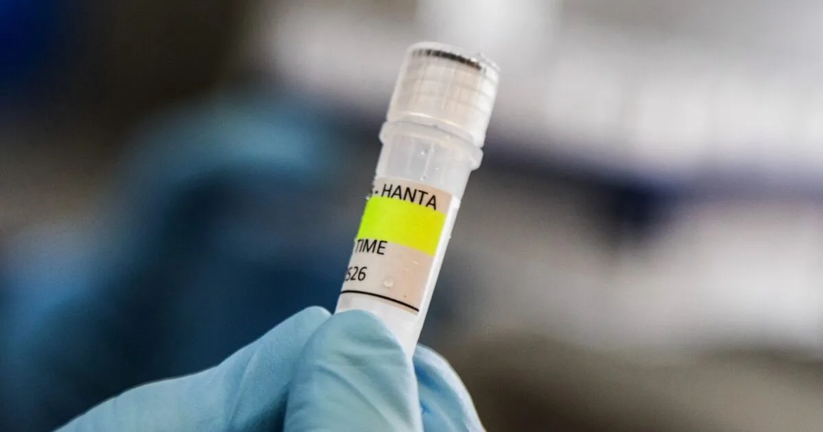 Hantavirus Less Contagious Than COVID-19, Says Dutch Doctor